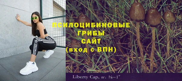 jwh Чегем