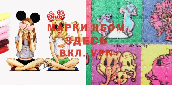 ПСИЛОЦИБИНОВЫЕ ГРИБЫ Магас