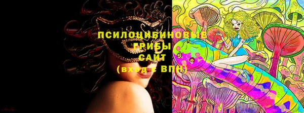гидра Майский