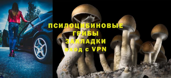 герыч Чердынь