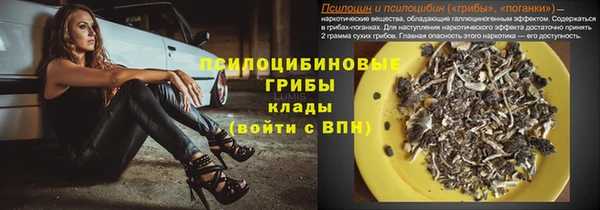 таблы Вяземский