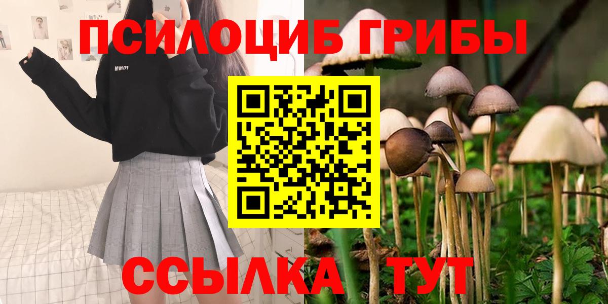 Псилоцибиновые грибы ЛСД  купить закладку  Моршанск 