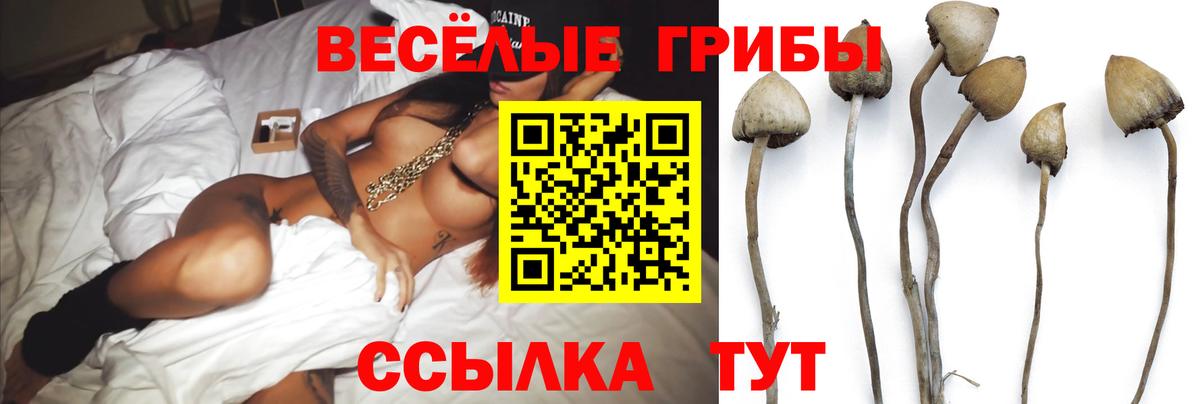 Галлюциногенные грибы MAGIC MUSHROOMS Моршанск