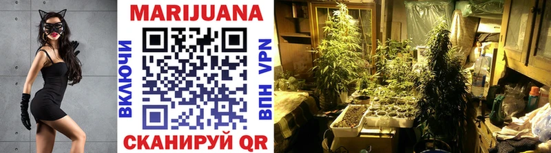 купить закладку  Моршанск  Бошки марихуана OG Kush 